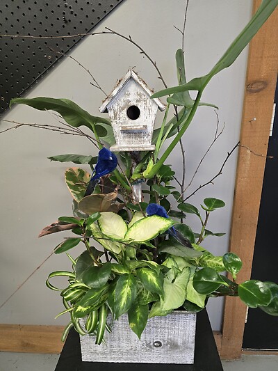 Bird House Planter