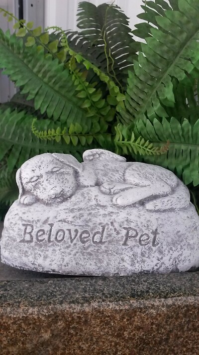 Beloved Pet For Dog